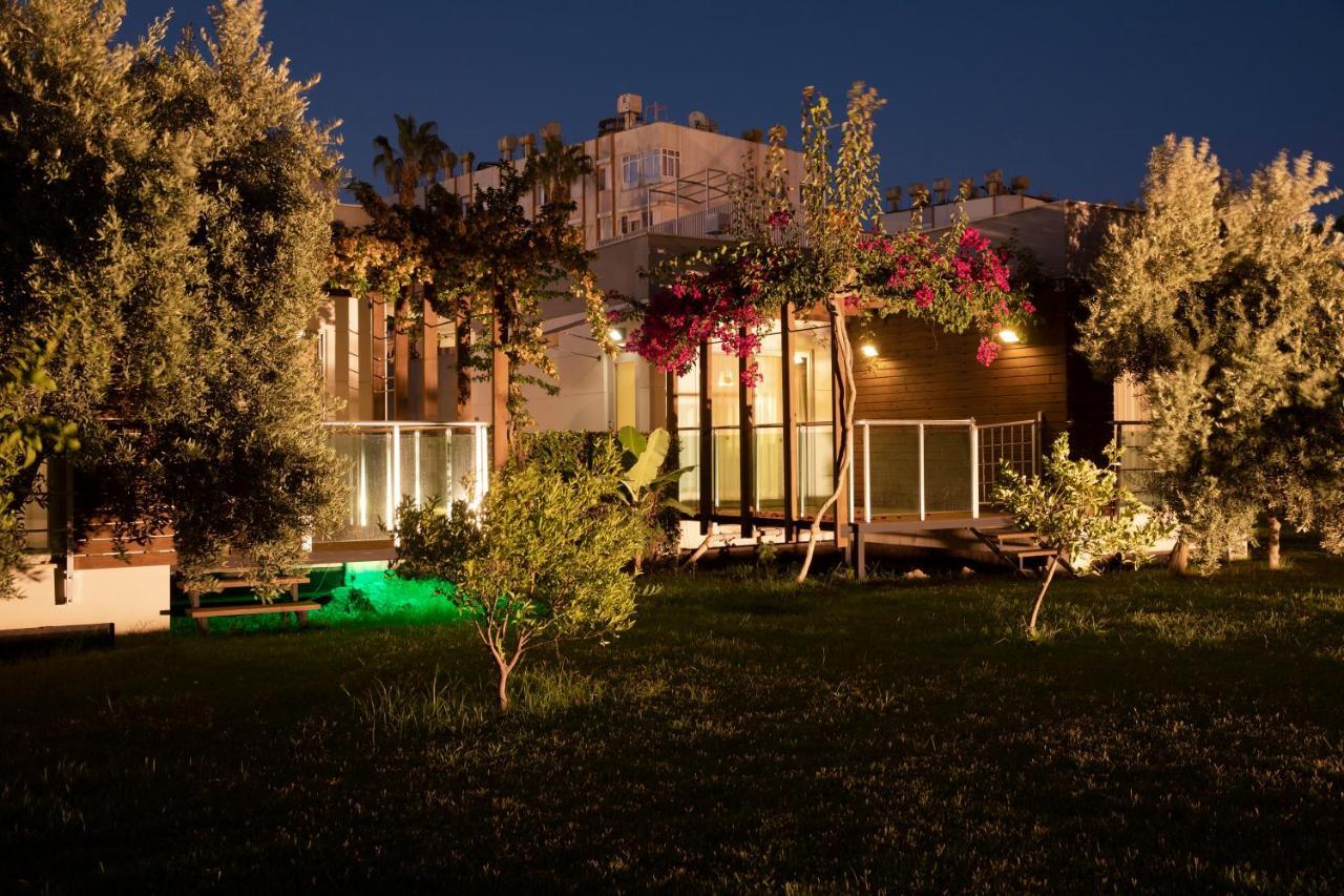 Garden &